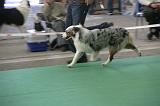 IMG_1168