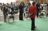 IMG_1170
