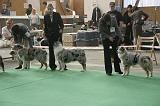 IMG_1171