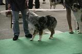 IMG_1175