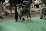 IMG_1178