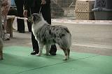 IMG_1180