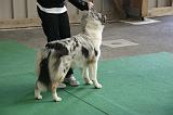 IMG_1196