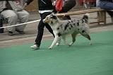 IMG_1198