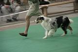 IMG_1201