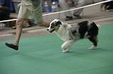 IMG_1202