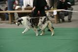 IMG_1208