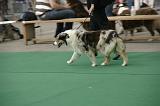 IMG_1209