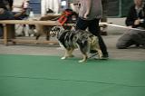 IMG_1212
