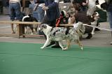 IMG_1219