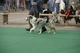 IMG_1220