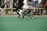 IMG_1227