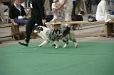 IMG_1228