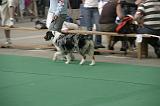 IMG_1230
