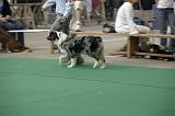 IMG_1231