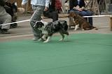 IMG_1233