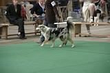 IMG_1234