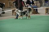 IMG_1235