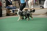 IMG_1241