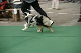 IMG_1242