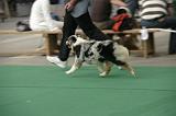 IMG_1243
