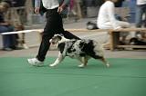 IMG_1244