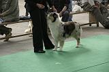 IMG_1249