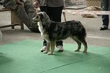 IMG_1250