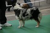 IMG_1261