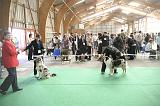 IMG_1262