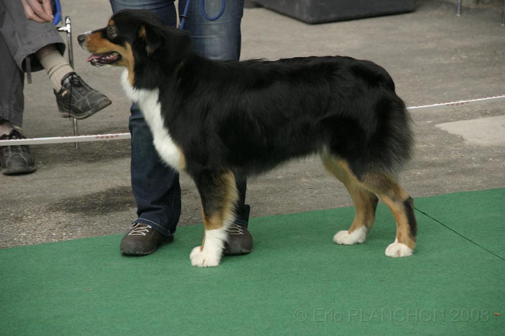IMG_1283.JPG