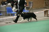 IMG_1349
