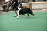 IMG_1358