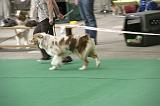 IMG_1424