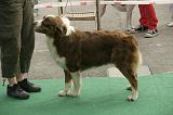 IMG_1446