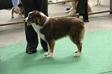 IMG_1449