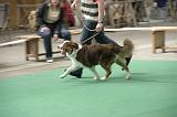 IMG_1455