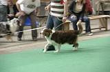 IMG_1456