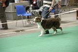 IMG_1457