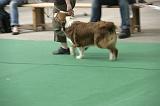 IMG_1458