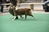 IMG_1460