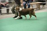 IMG_1461