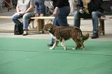 IMG_1462