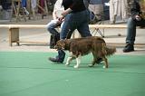 IMG_1463