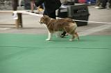 IMG_1464