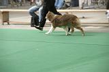 IMG_1466