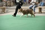IMG_1467