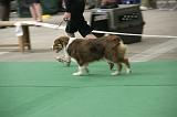 IMG_1468