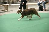 IMG_1470