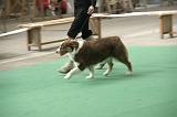 IMG_1471